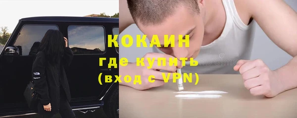 шишки Беломорск
