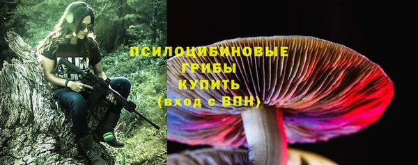 гашик Покачи