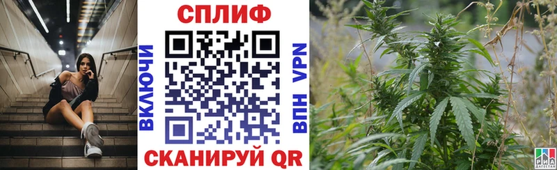 Шишки марихуана марихуана  продажа наркотиков  Черноголовка 